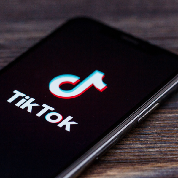 TikTok bans could be the canary in the coalmine for global economic and technological fractures