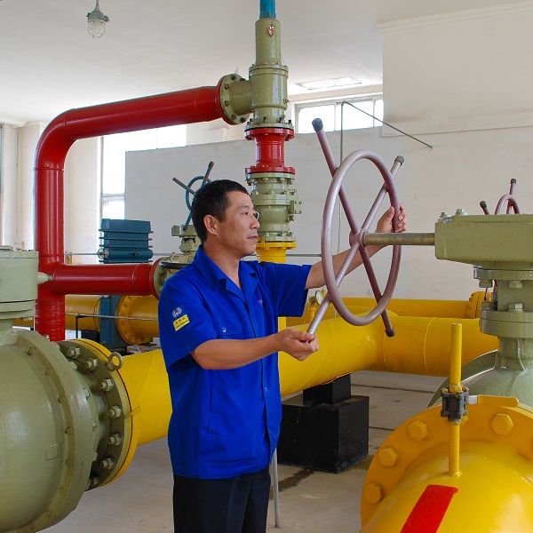 Issues in formulating natural gas benchmark prices in China