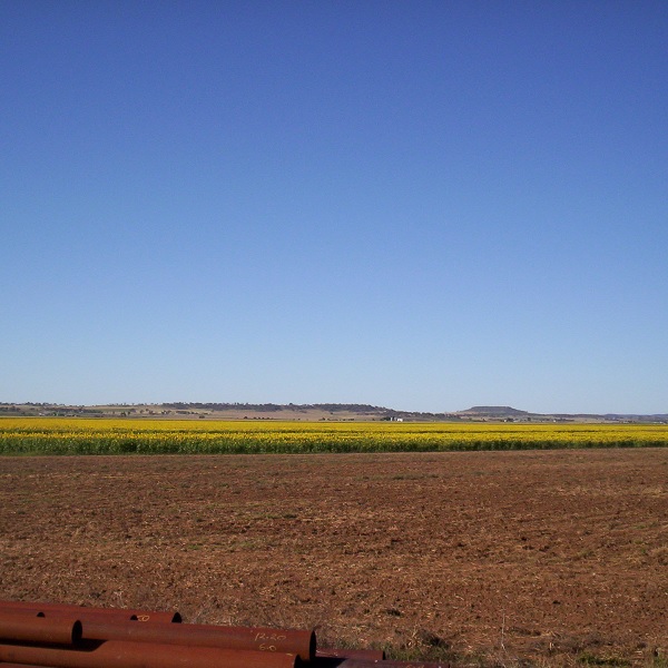 China and Australia’s agricultural sector